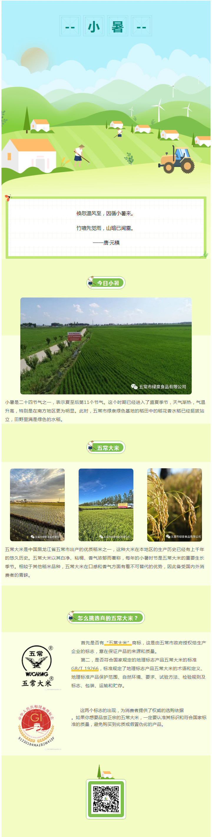 小暑冷知識——怎么挑選真正的五常大米？.jpg