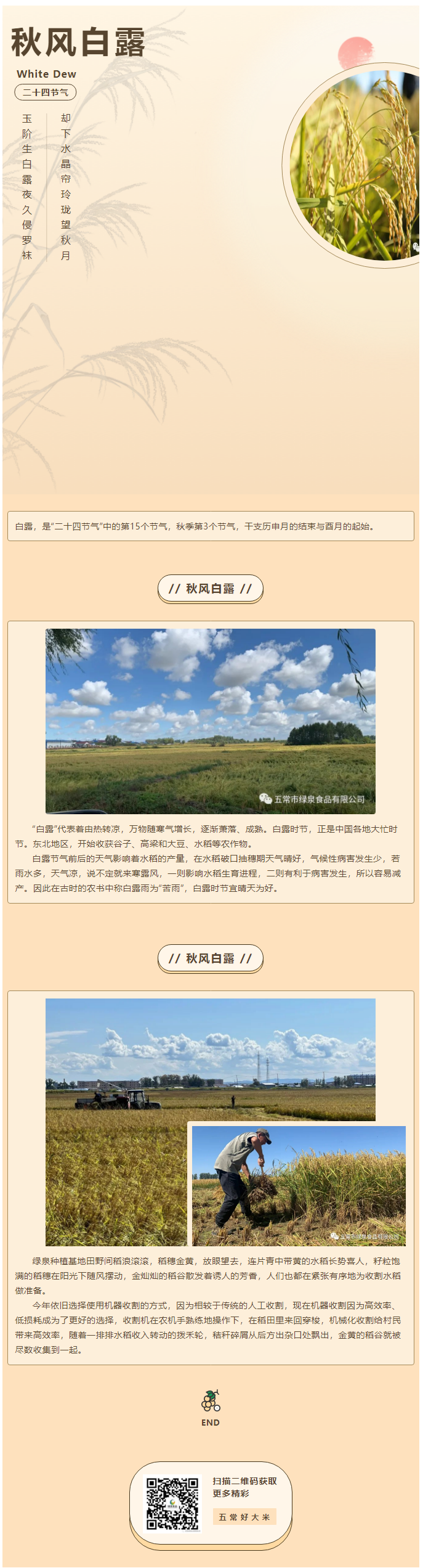 人間忽晚，山河已秋——水稻收割倒計時！.png